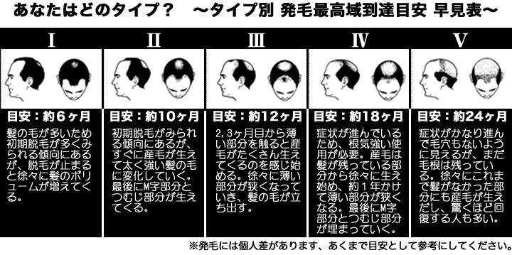 タイプ別 発毛最高到達目安 早見表